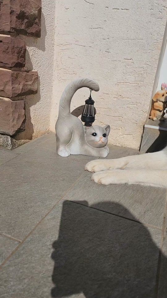 TikTok video thumbnail by 1974jbl