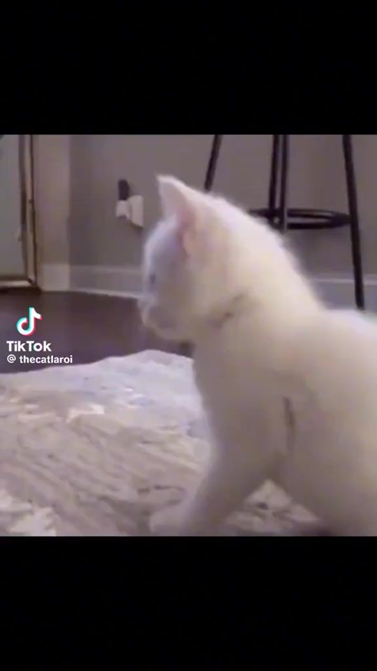 TikTok video thumbnail by ameenarfan
