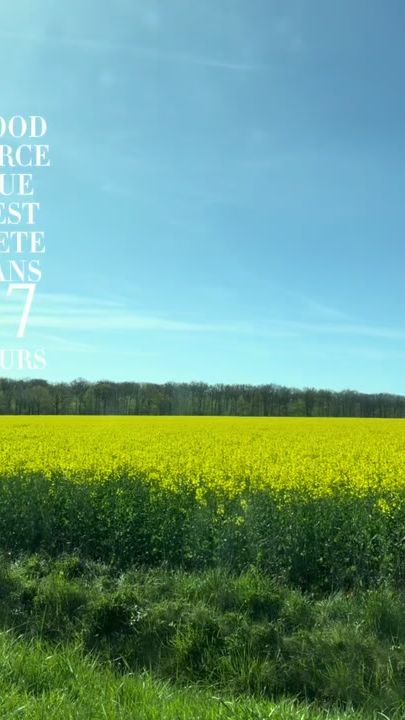 TikTok video thumbnail by __v.al_