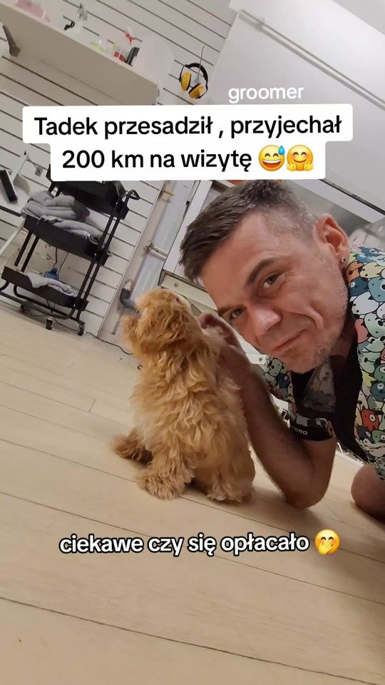 TikTok video thumbnail by pawelgroomer