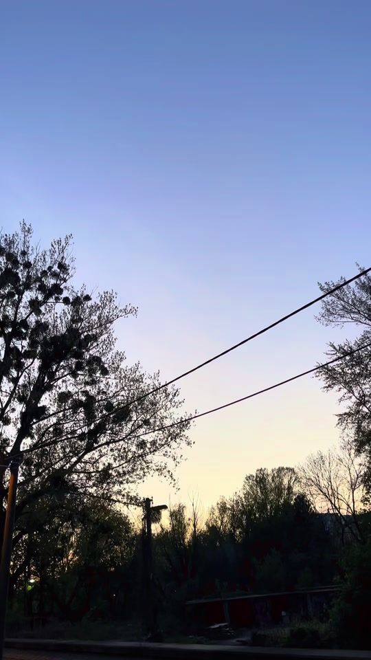 TikTok video thumbnail by nnnnikolka