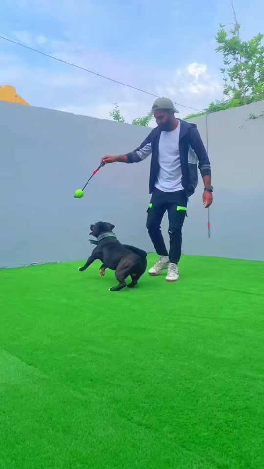 TikTok video thumbnail by petssecret7