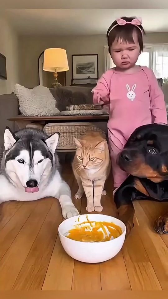 TikTok video thumbnail by created.ai.videos