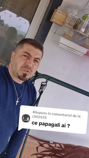TikTok video thumbnail by cristi_avasiloaiei