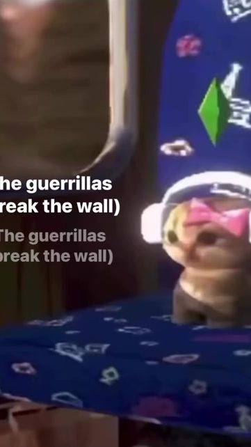 TikTok video thumbnail by soyeonbb