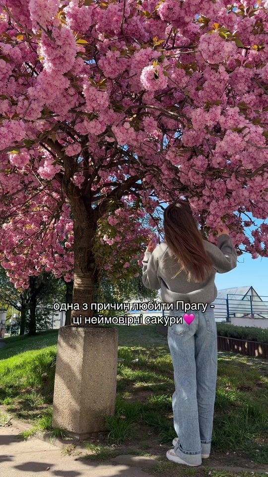 TikTok video thumbnail by olesiahulchevska