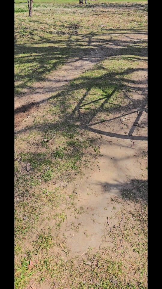 TikTok video thumbnail by artisteivans