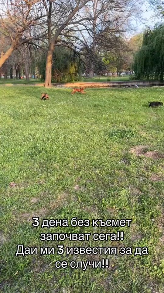 TikTok video thumbnail by __kim.__2