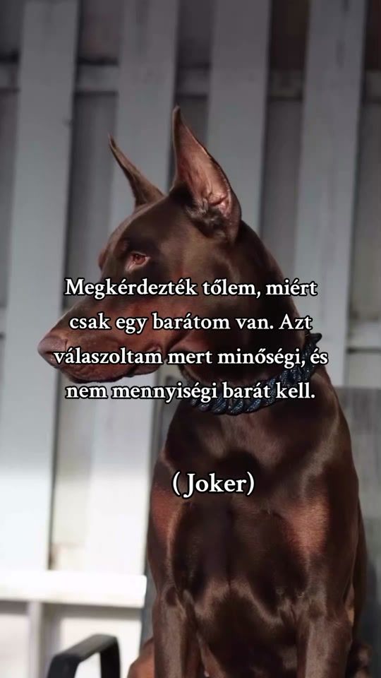 TikTok video thumbnail by user9847farkas