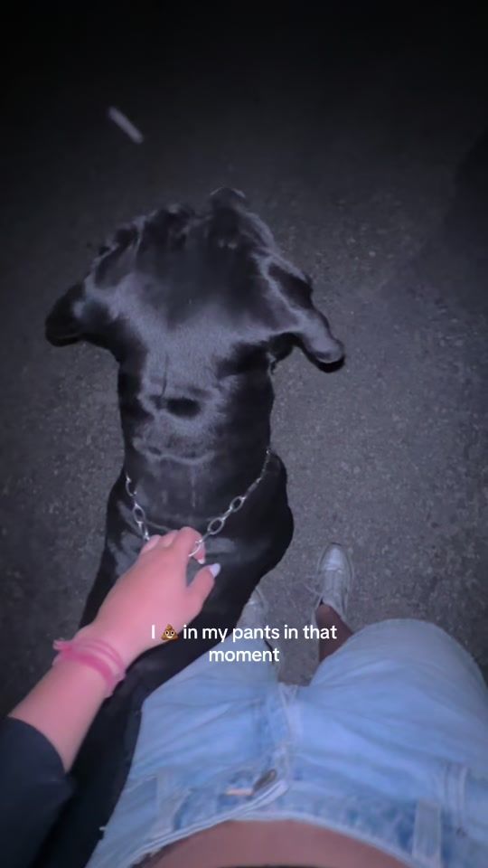 TikTok video thumbnail by lifewithmypack