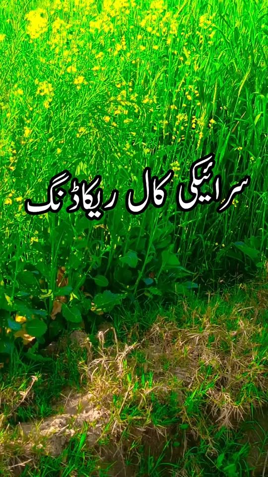 TikTok video thumbnail by bahawalpurishahzadi2