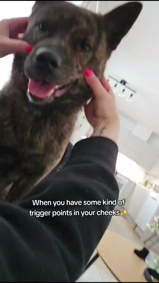 TikTok video thumbnail by kaikenturo