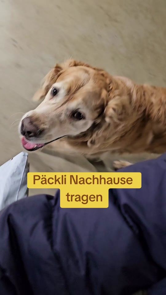 TikTok video thumbnail by pommi_ewok