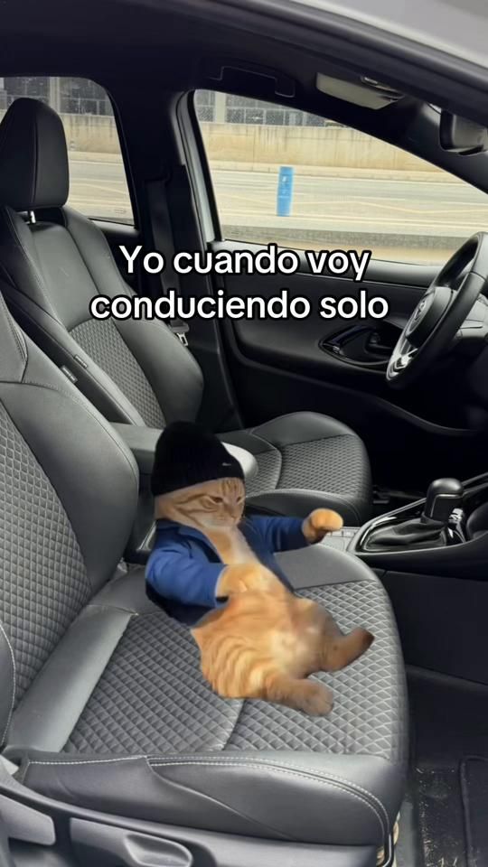 TikTok video thumbnail by dczenteno