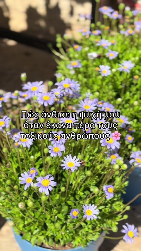 TikTok video thumbnail by sofiandrianaki
