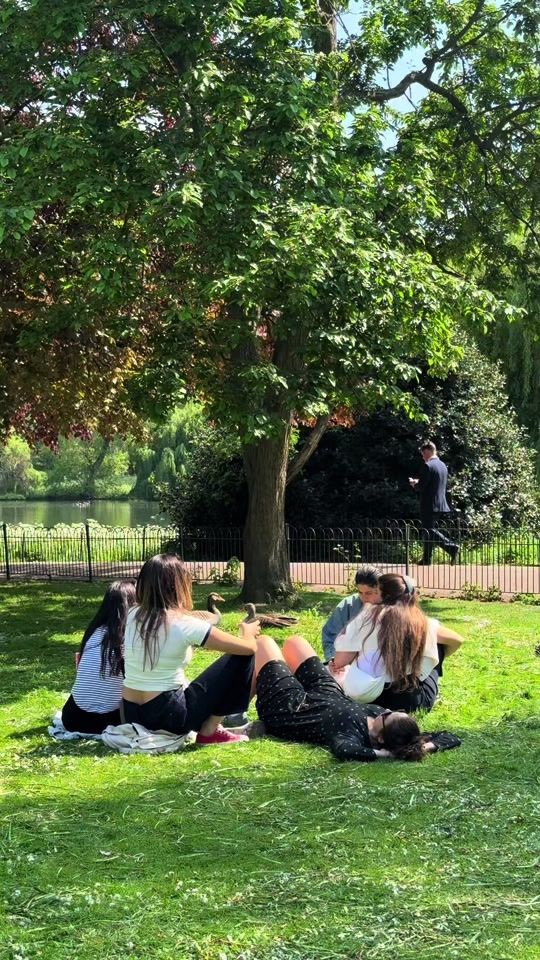 TikTok video thumbnail by viaggiarte