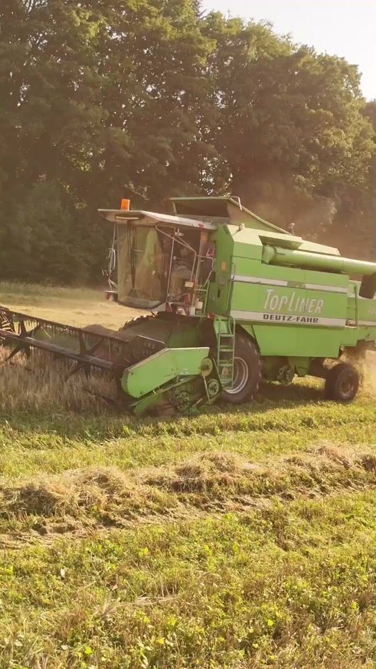 TikTok video thumbnail by pv_agro