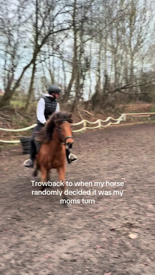 TikTok video thumbnail by zelinas._hesteverden