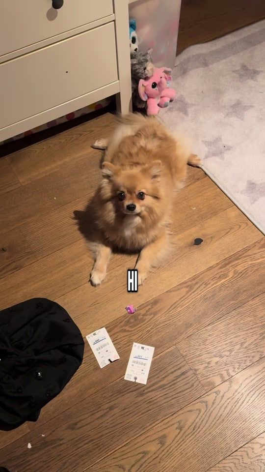 TikTok video thumbnail by thetunepark