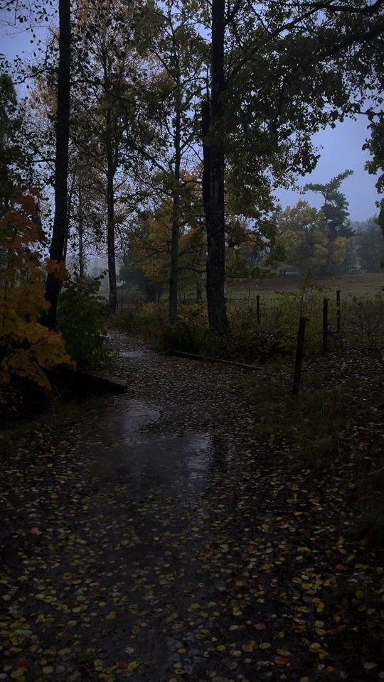 TikTok video thumbnail by poisntree