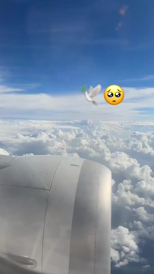 TikTok video thumbnail by raluca_ralu64
