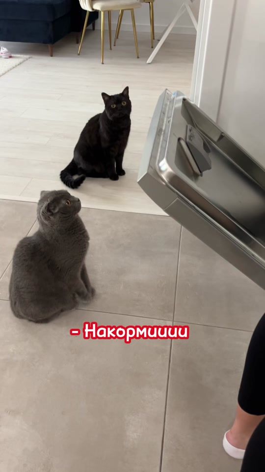 TikTok video thumbnail by masyane4ka_