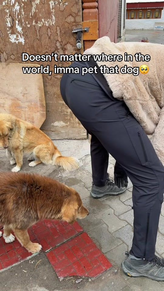 TikTok video thumbnail by docboj