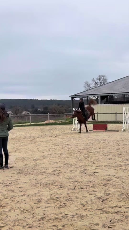 TikTok video thumbnail by juliette_equit