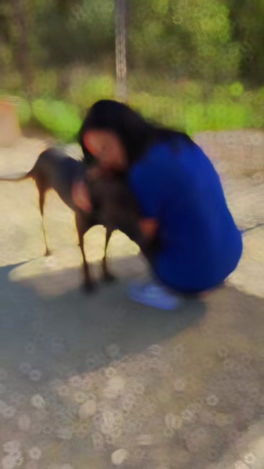 TikTok video thumbnail by julia_and_sheba