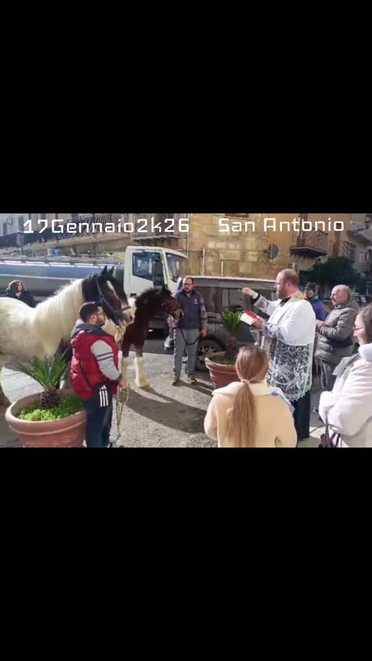 TikTok video thumbnail by paraccaro