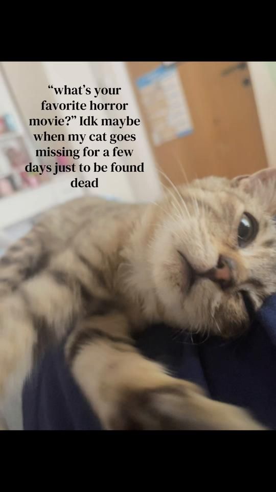 TikTok video thumbnail by zzaraxb3