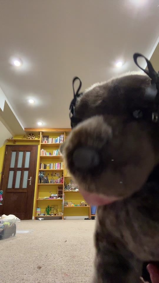 TikTok video thumbnail by niemcus_bitch