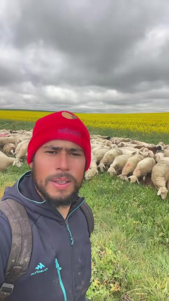 TikTok video thumbnail by halim..rifii