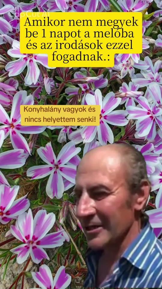 TikTok video thumbnail by klauu_1997