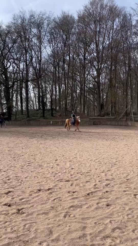 TikTok video thumbnail by luki.mein.bester.freund