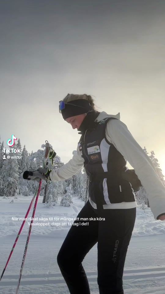 TikTok video thumbnail by wildur