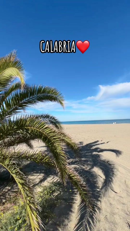 TikTok video thumbnail by daseismeer