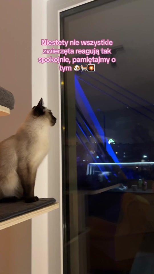 TikTok video thumbnail by phitusiowa.para