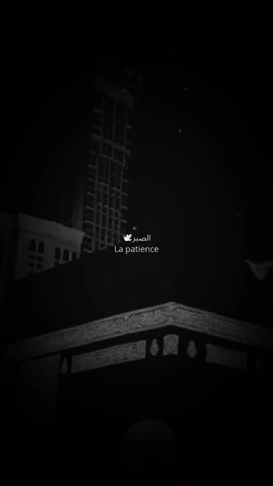 TikTok video thumbnail by lapatience191
