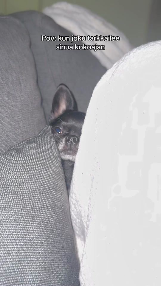 TikTok video thumbnail by uunotok