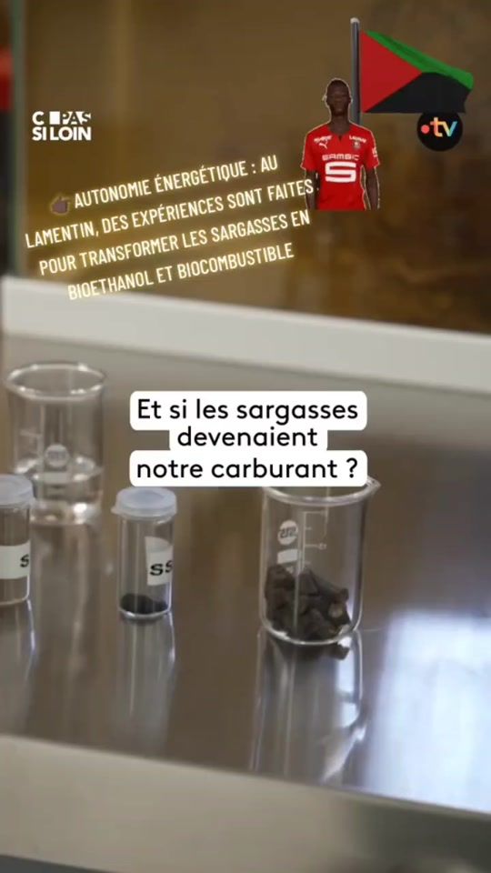 TikTok video thumbnail by krystin_free_spirit