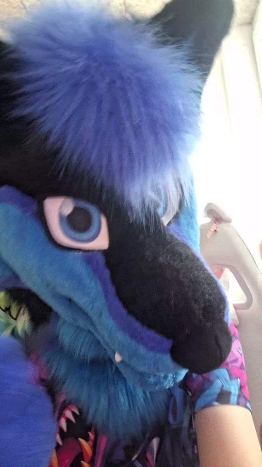 TikTok video thumbnail by lesleywulf