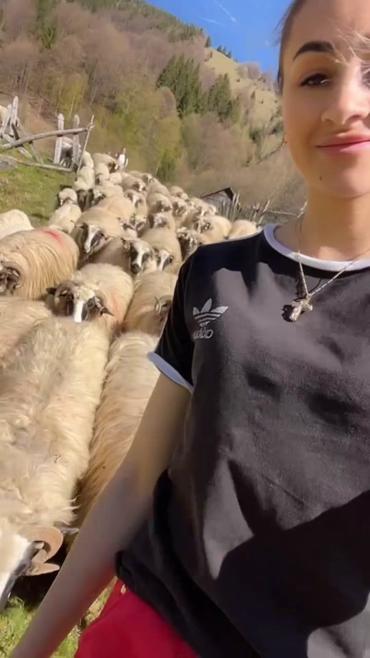 TikTok video thumbnail by calinageorgi