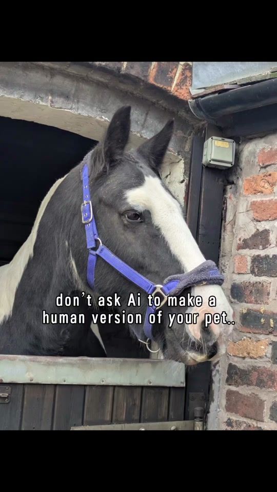 TikTok video thumbnail by janetevans635