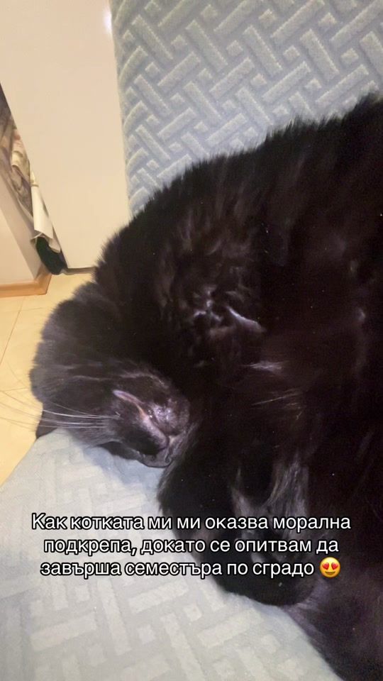 TikTok video thumbnail by rakijata