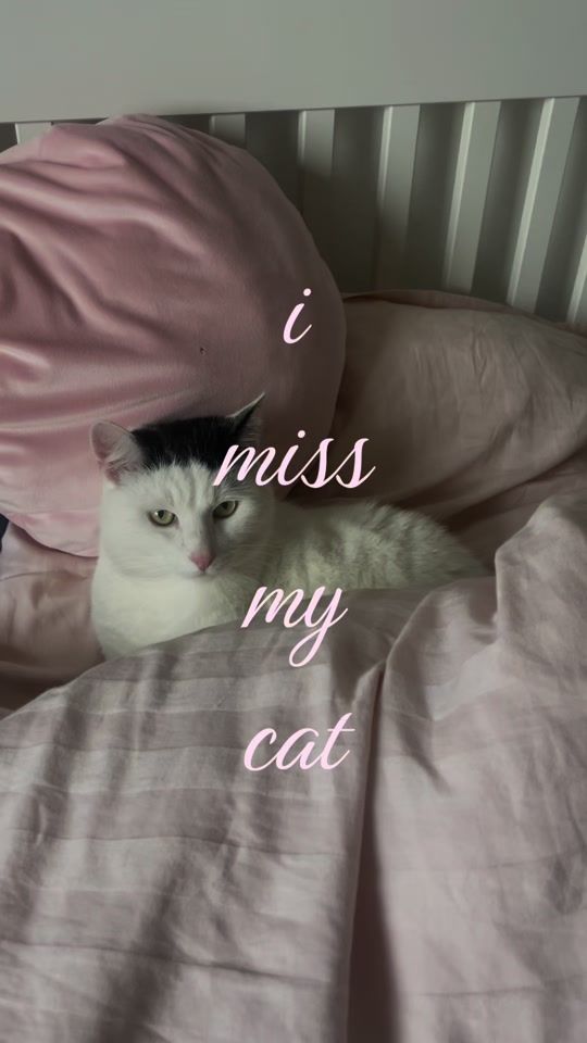 TikTok video thumbnail by ztrleonie