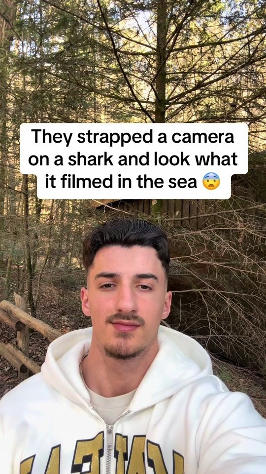 TikTok video thumbnail by compilationeveryday