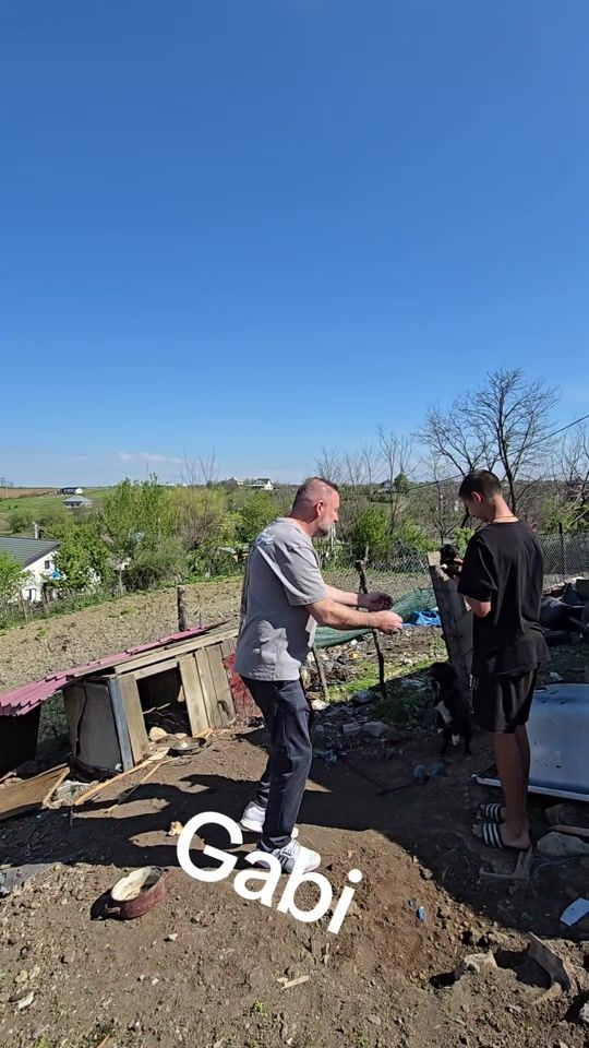 TikTok video thumbnail by cristian17.ro