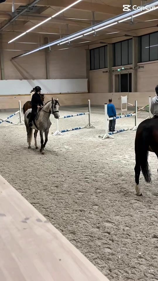 TikTok video thumbnail by saskia.merwitz