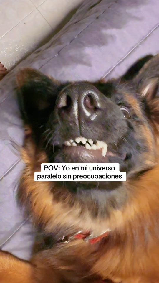 TikTok video thumbnail by bibi.nyx73